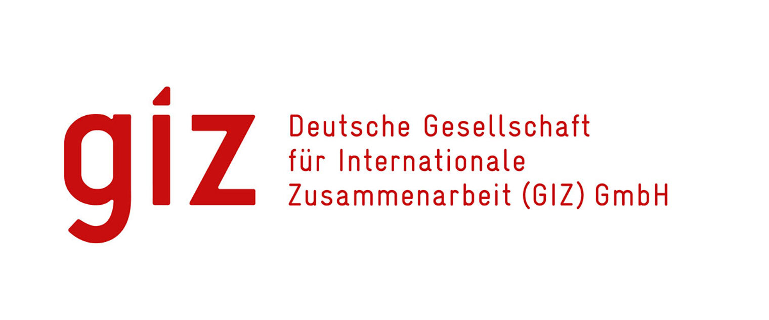 Logo giz